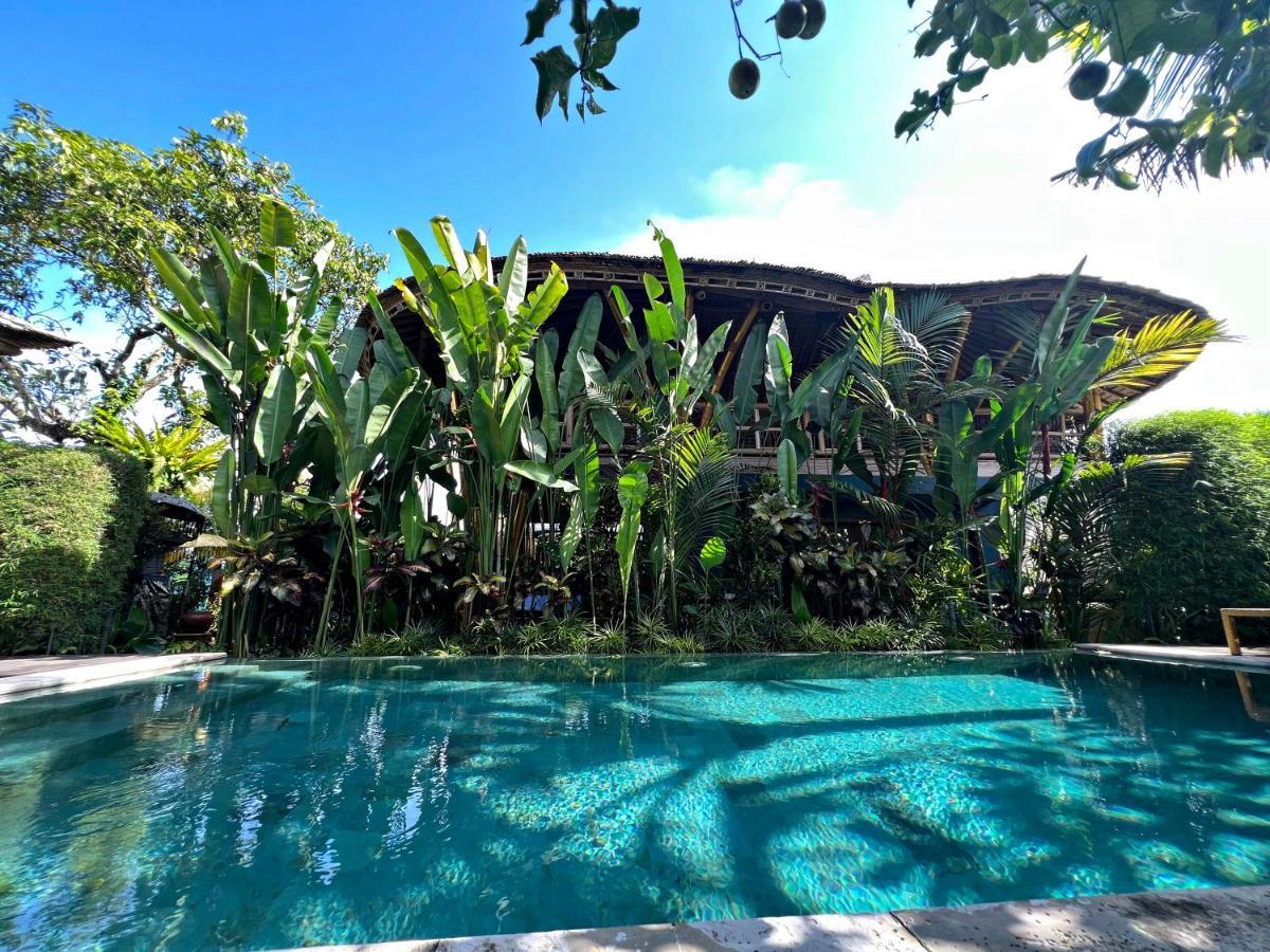 Joyously Raw Villas - Free Room Upgrade Subject To Availability 우붓 외부 사진